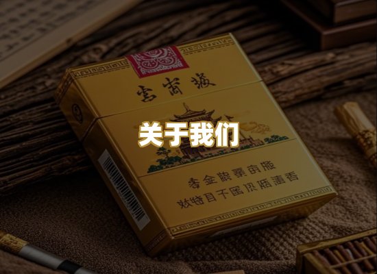 关于我们